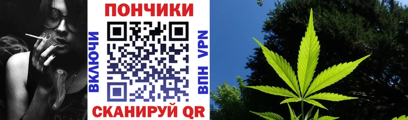 Марихуана сатива купить сайты Шебекино